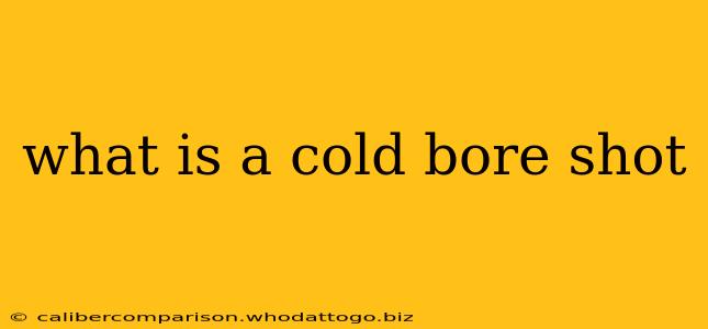 what is a cold bore shot