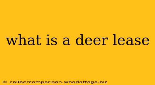 what is a deer lease