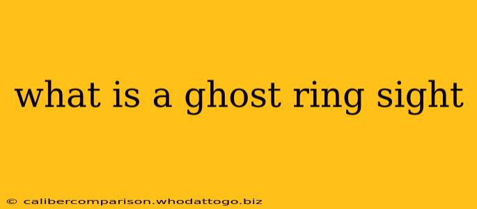 what is a ghost ring sight