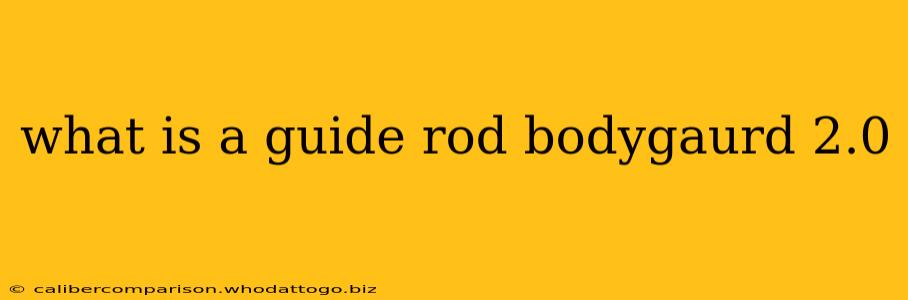 what is a guide rod bodygaurd 2.0