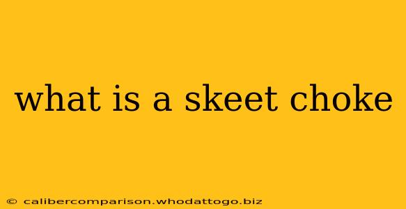 what is a skeet choke