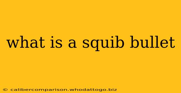 what is a squib bullet