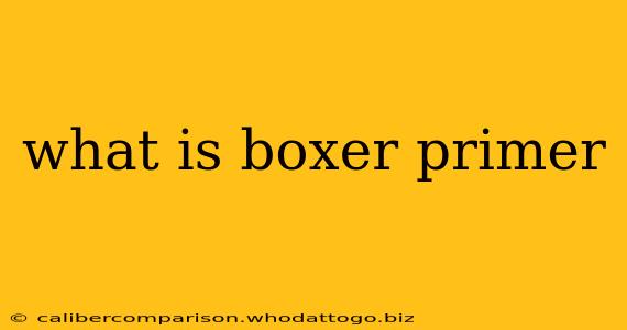 what is boxer primer