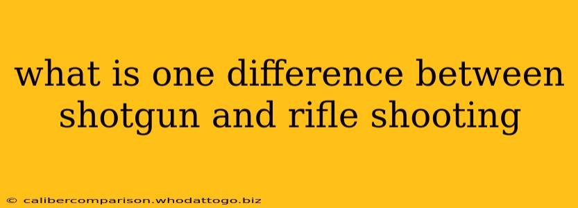 what is one difference between shotgun and rifle shooting