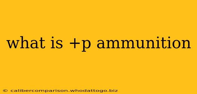 what is +p ammunition