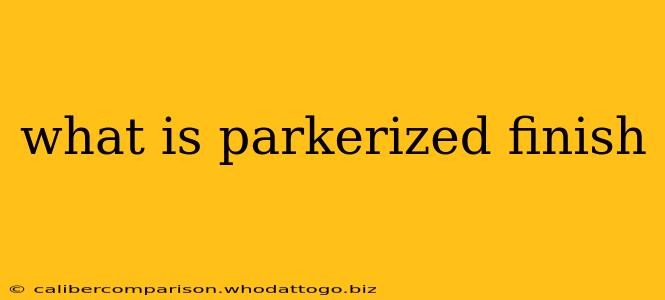 what is parkerized finish