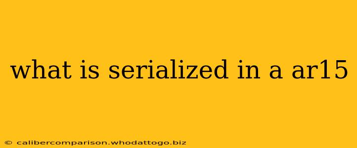 what is serialized in a ar15