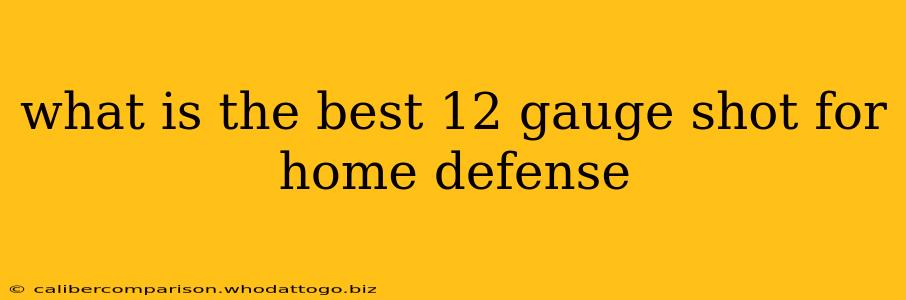 what is the best 12 gauge shot for home defense