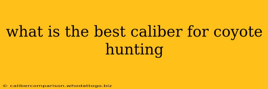 what is the best caliber for coyote hunting