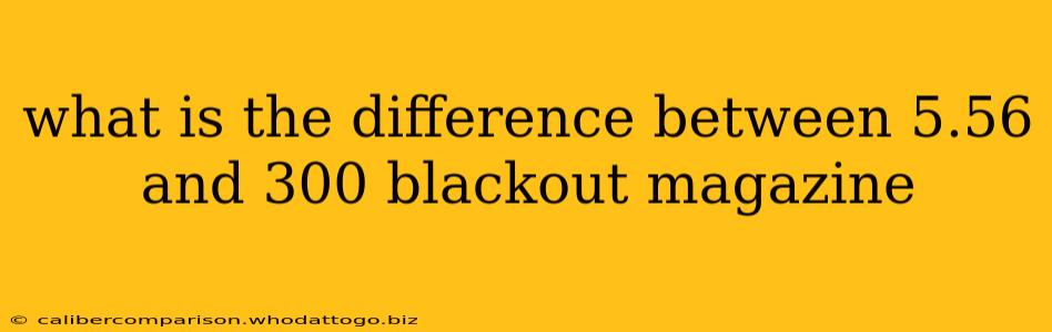 what is the difference between 5.56 and 300 blackout magazine