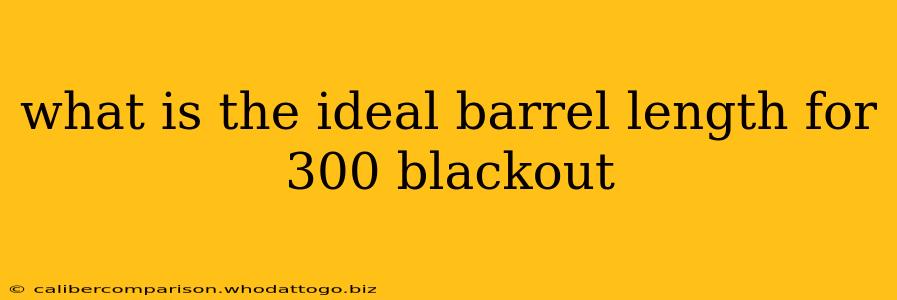 what is the ideal barrel length for 300 blackout