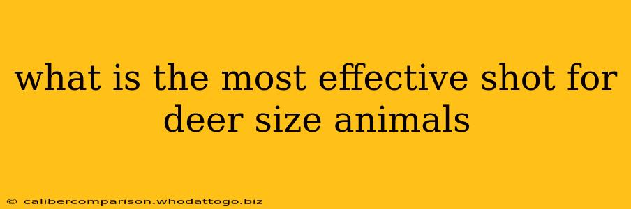 what is the most effective shot for deer size animals