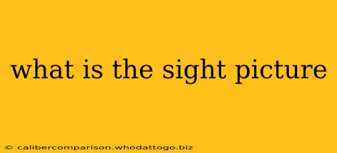 what is the sight picture