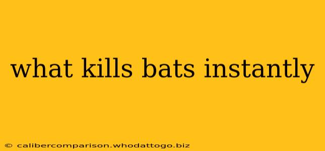 what kills bats instantly