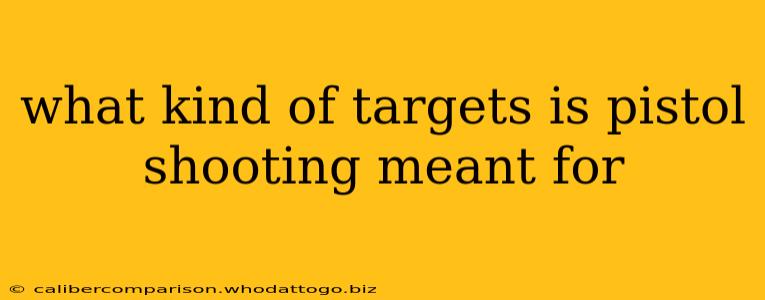 what kind of targets is pistol shooting meant for