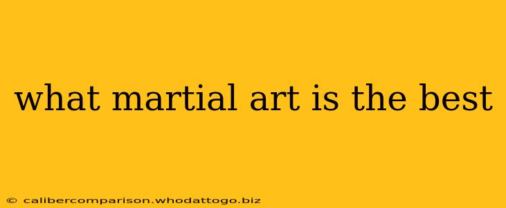 what martial art is the best