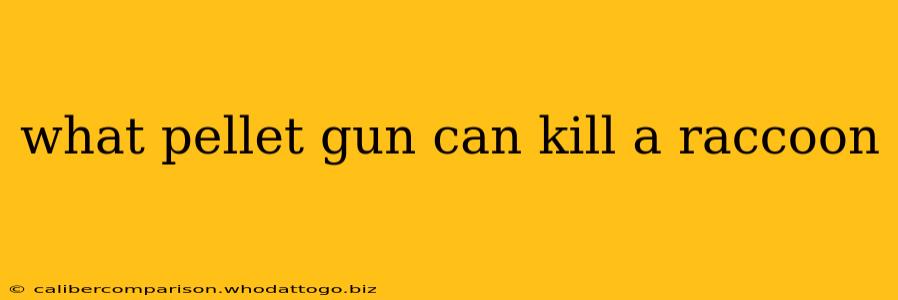 what pellet gun can kill a raccoon