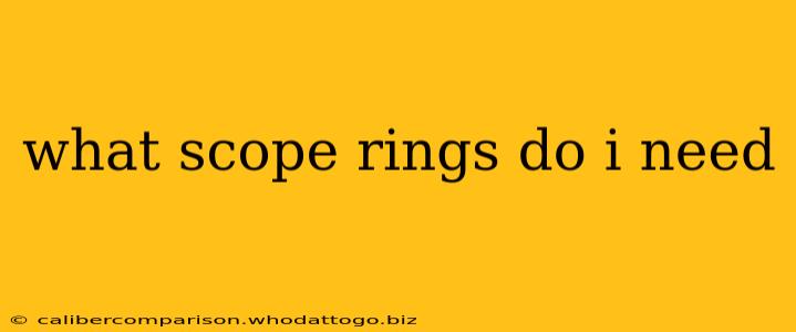 what scope rings do i need