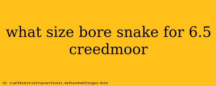 what size bore snake for 6.5 creedmoor