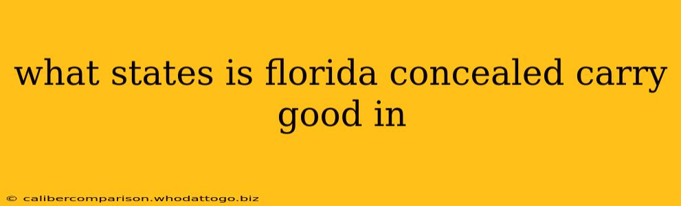 what states is florida concealed carry good in