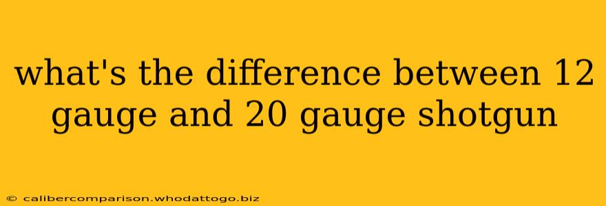 what's the difference between 12 gauge and 20 gauge shotgun