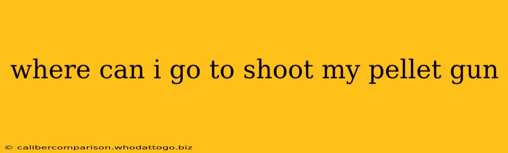 where can i go to shoot my pellet gun