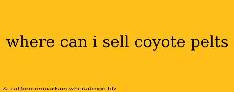 where can i sell coyote pelts