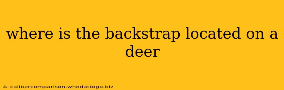 where is the backstrap located on a deer