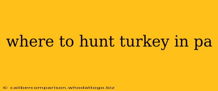 where to hunt turkey in pa