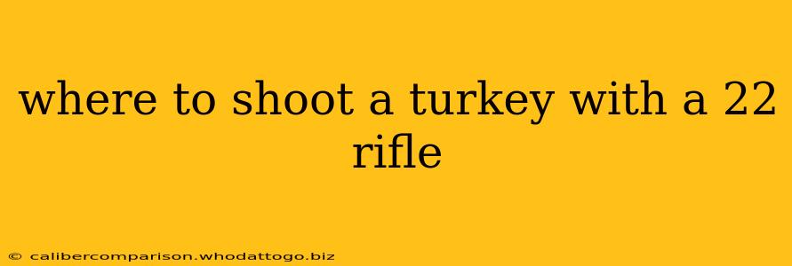 where to shoot a turkey with a 22 rifle