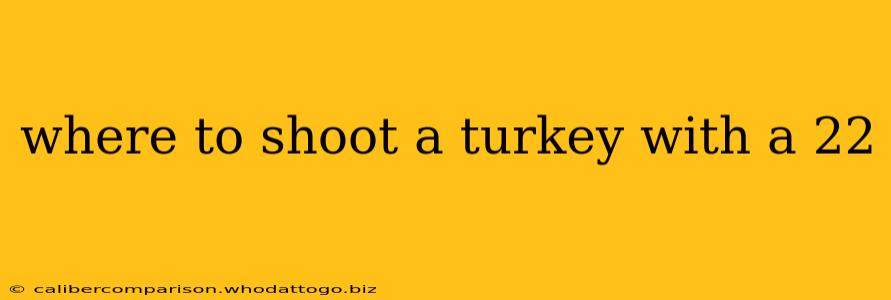 where to shoot a turkey with a 22