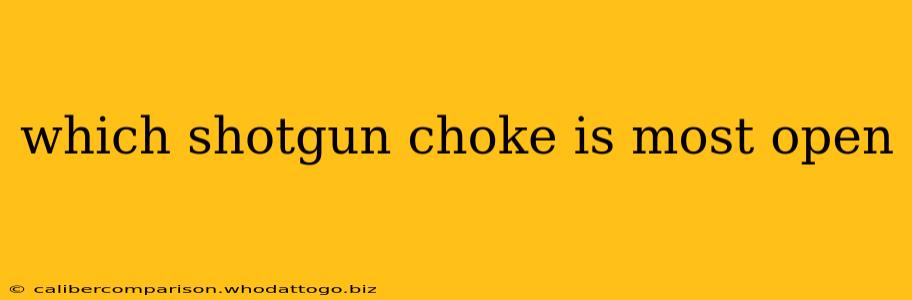 which shotgun choke is most open