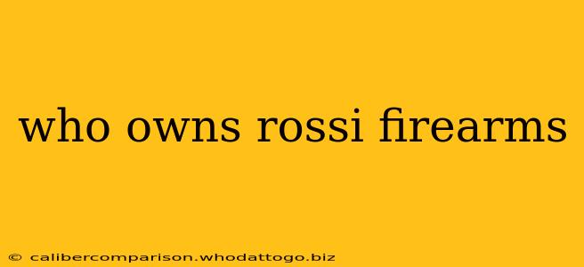 who owns rossi firearms