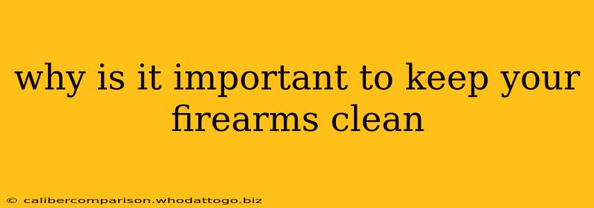 why is it important to keep your firearms clean