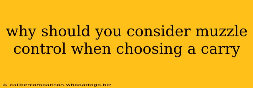 why should you consider muzzle control when choosing a carry