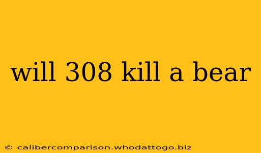 will 308 kill a bear