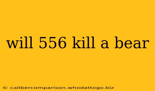 will 556 kill a bear