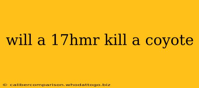 will a 17hmr kill a coyote