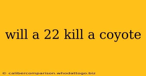 will a 22 kill a coyote