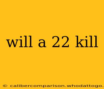 will a 22 kill