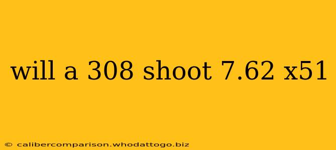 will a 308 shoot 7.62 x51