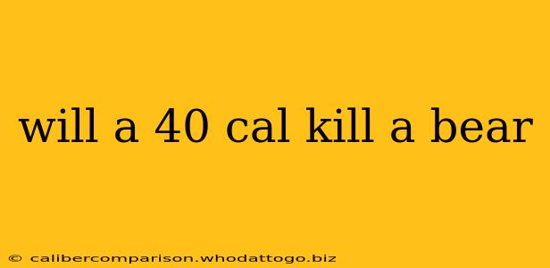 will a 40 cal kill a bear