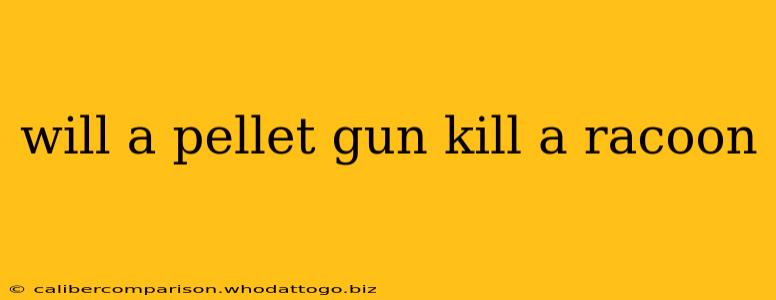 will a pellet gun kill a racoon