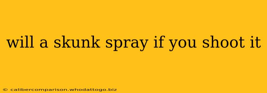 will a skunk spray if you shoot it