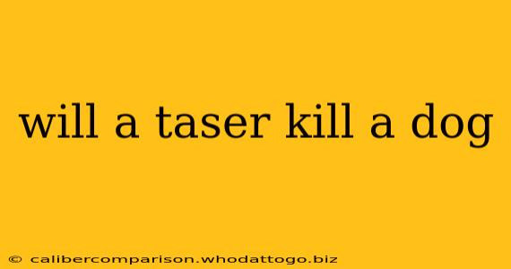 will a taser kill a dog