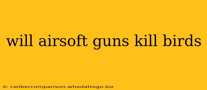 will airsoft guns kill birds