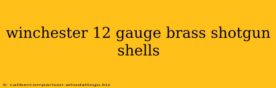 winchester 12 gauge brass shotgun shells