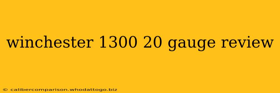 winchester 1300 20 gauge review