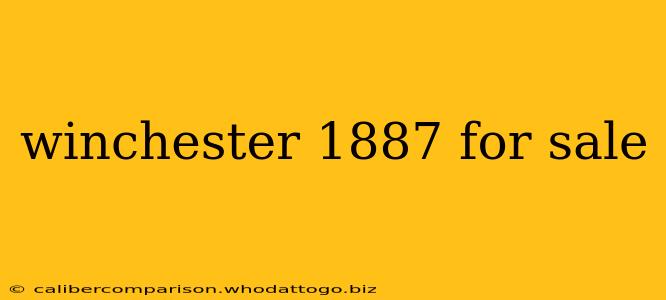 winchester 1887 for sale