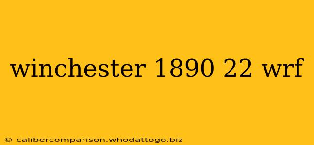 winchester 1890 22 wrf